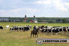 Мокрое